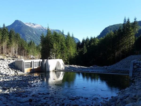 narrows inlet  project